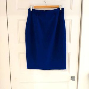 Blue Bodycon Skirt